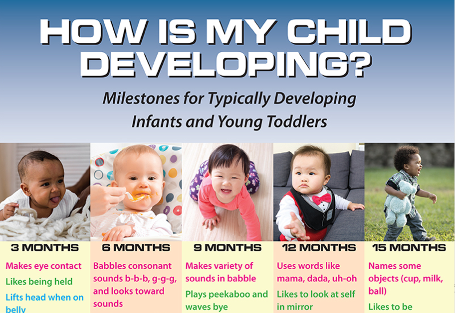development-flyer
